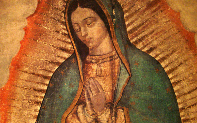 Our Lady of Guadalupe: Our Mother Too